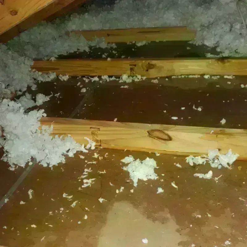 Attic Water Damage in Powells Crossroads, TN